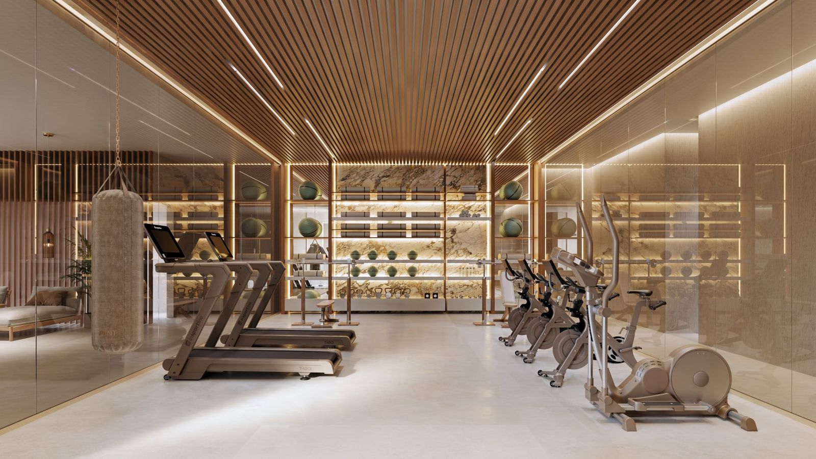 17 modern luxury gym